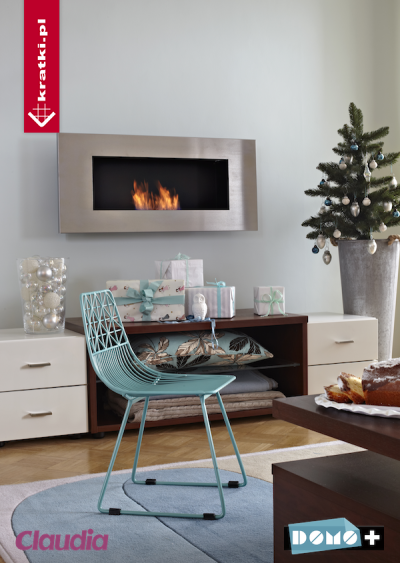 Delta 2 stainless steel bio ethanol fireplace - Image 3