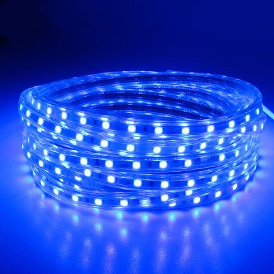 Led strip AC 5050 led type blue 220v per 1 meter