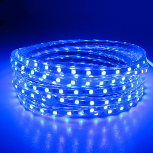 LED Strip 5050 Blue – Per Metre 220V