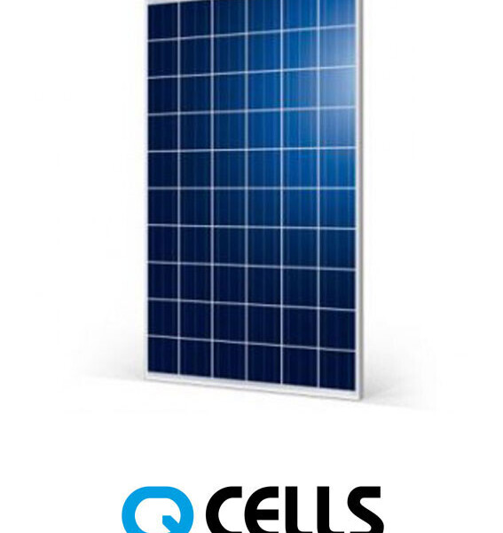 Qcells G4 Solar Module – 260W