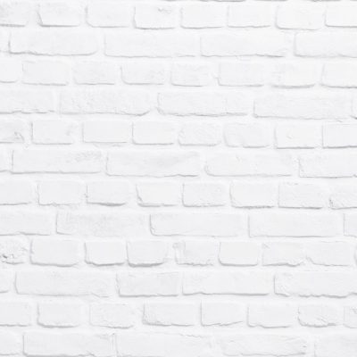 Brick Wall White Rough ref 033