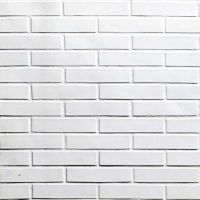BRICK CARAVISTA WHITE SMOOTH ref 021