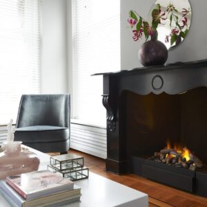 Free standing and mantle bio fireplaces