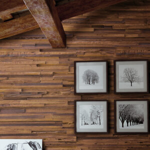 Wood Plywood