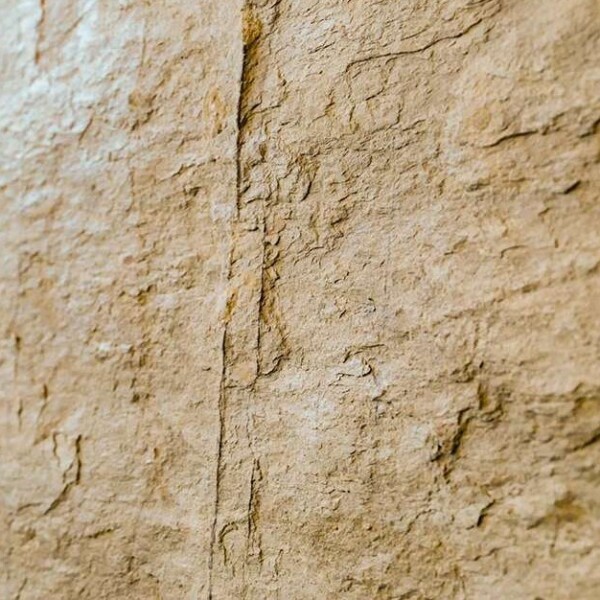 Natural Slate Veneer – Gold Caldero