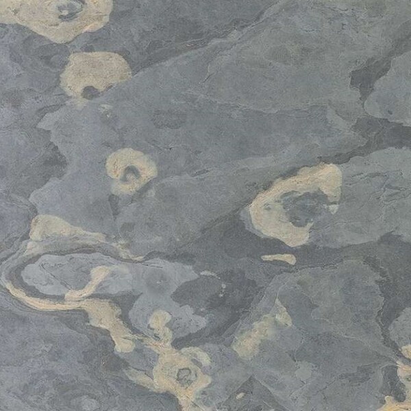 Natural Slate Veneer – California Golden
