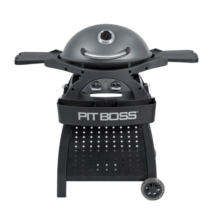Pit boss portable gas grill hotsell