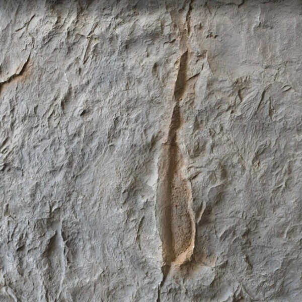 Cheyen Rock Wall Panel – Dark Gold Grey RFX